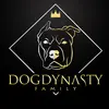  - @dogdynastyfamily Tiktok Profile Photo