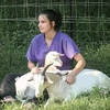  - @agirlandher_goats Tiktok Profile Photo