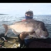 Richard Benson - @richard_beno_fishing Tiktok Profile Photo
