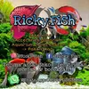  - @ricky.fish25 Tiktok Profile Photo
