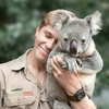 Robert Irwin - @robertirwin Tiktok Profile Photo