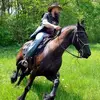  - @black_mustang_horse Tiktok Profile Photo