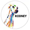  - @rodney_the_lurcher Tiktok Profile Photo