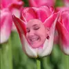 - @tulipecreation Tiktok Profile Photo