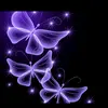 Rosemary jones - @purple_butterfly666 Tiktok Profile Photo