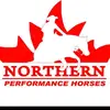 Shelby Mitchell - @northernperformancehorse Tiktok Profile Photo