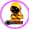  - @stormpad Tiktok Profile Photo
