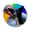 Susan Garrett - @dogsthat Tiktok Profile Photo