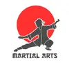  - @fan_darts_martiaux_rock Tiktok Profile Photo