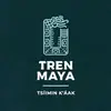  - @trenmaya Tiktok Profile Photo