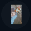  - @ty_turner.1 Tiktok Profile Photo