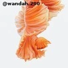 Wanda Holmes - @wandah.290 Tiktok Profile Photo