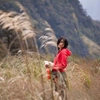 Yee Fong - @yeefong3 Tiktok Profile Photo